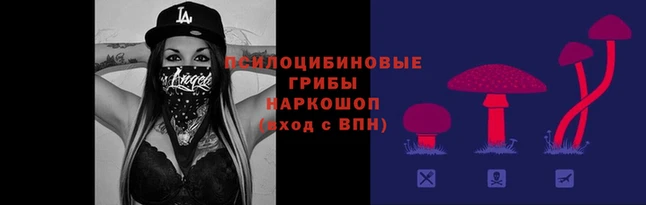 мдпв Каменка