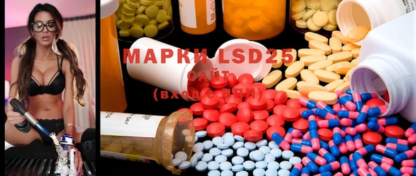 спиды Каменногорск