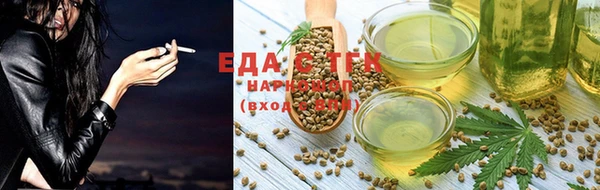 мдпв Каменка